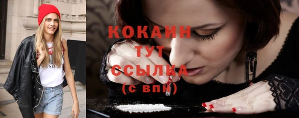 трава Лабытнанги