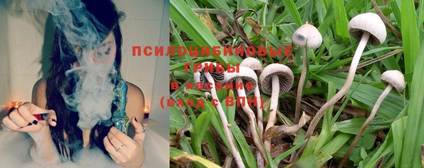 круглые Лагань