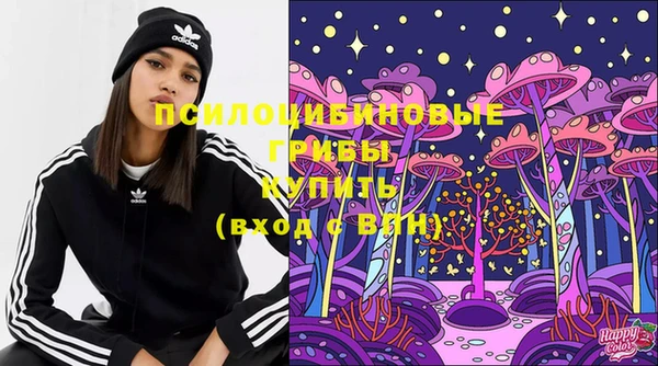 трава Лабытнанги
